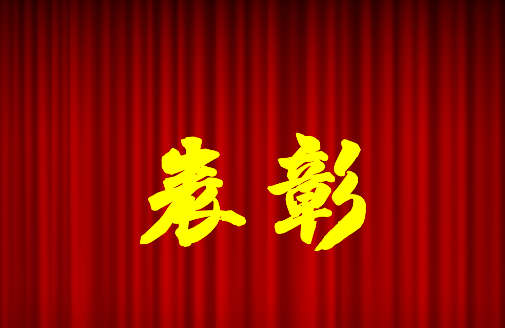 逐光前行、荣耀共鉴 | 公司2024年度表彰来啦！